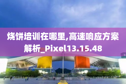 烧饼培训在哪里,高速响应方案解析_Pixel13.15.48