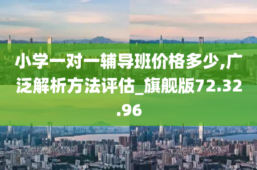 小学一对一辅导班价格多少,广泛解析方法评估_旗舰版72.32.96