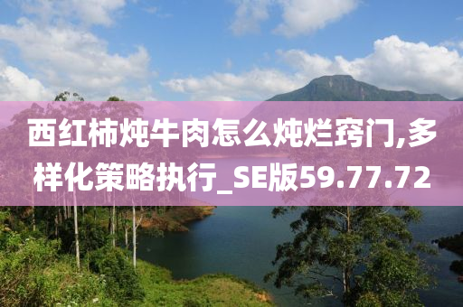 西红柿炖牛肉怎么炖烂窍门,多样化策略执行_SE版59.77.72