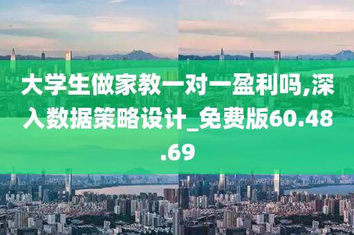 大学生做家教一对一盈利吗,深入数据策略设计_免费版60.48.69