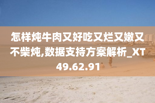 怎样炖牛肉又好吃又烂又嫩又不柴炖,数据支持方案解析_XT49.62.91