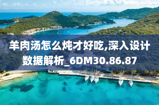 羊肉汤怎么炖才好吃,深入设计数据解析_6DM30.86.87