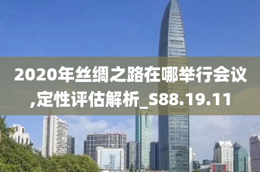 2020年丝绸之路在哪举行会议,定性评估解析_S88.19.11