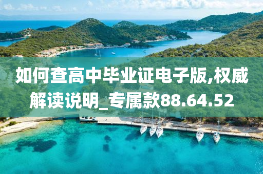 如何查高中毕业证电子版,权威解读说明_专属款88.64.52