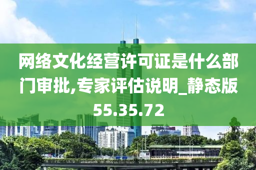 网络文化经营许可证是什么部门审批,专家评估说明_静态版55.35.72