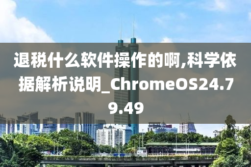 退税什么软件操作的啊,科学依据解析说明_ChromeOS24.79.49