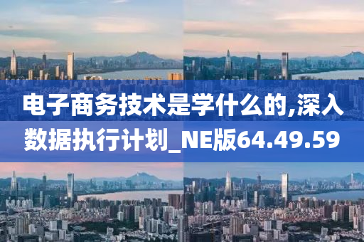 电子商务技术是学什么的,深入数据执行计划_NE版64.49.59