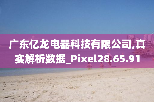 广东亿龙电器科技有限公司,真实解析数据_Pixel28.65.91