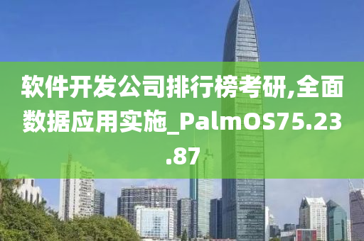 软件开发公司排行榜考研,全面数据应用实施_PalmOS75.23.87