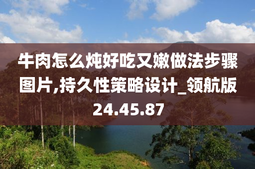 牛肉怎么炖好吃又嫩做法步骤图片,持久性策略设计_领航版24.45.87