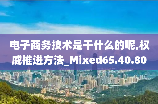 电子商务技术是干什么的呢,权威推进方法_Mixed65.40.80