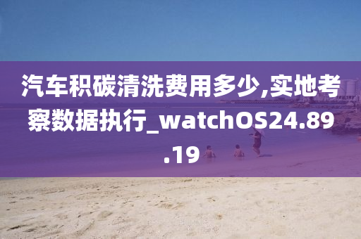 汽车积碳清洗费用多少,实地考察数据执行_watchOS24.89.19