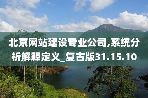 北京网站建设专业公司,系统分析解释定义_复古版31.15.10