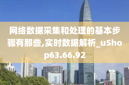 网络数据采集和处理的基本步骤有那些,实时数据解析_uShop63.66.92