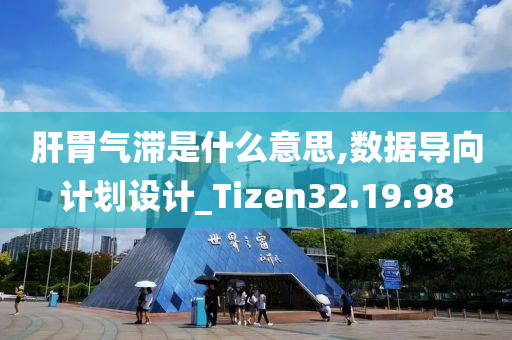 肝胃气滞是什么意思,数据导向计划设计_Tizen32.19.98