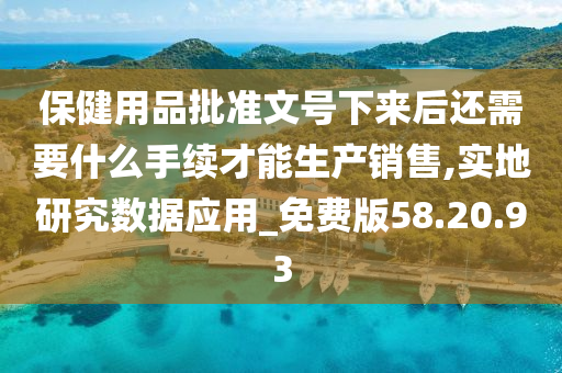 保健用品批准文号下来后还需要什么手续才能生产销售,实地研究数据应用_免费版58.20.93