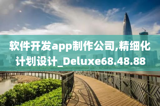 软件开发app制作公司,精细化计划设计_Deluxe68.48.88