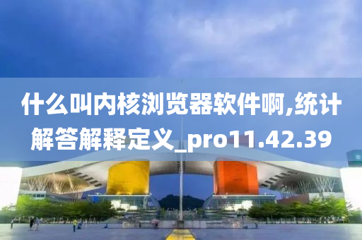 什么叫内核浏览器软件啊,统计解答解释定义_pro11.42.39