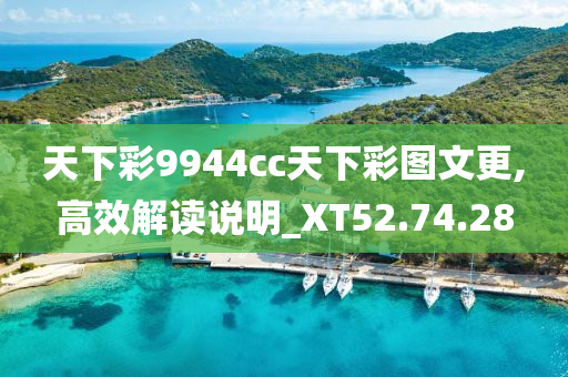 天下彩9944cc天下彩图文更,高效解读说明_XT52.74.28