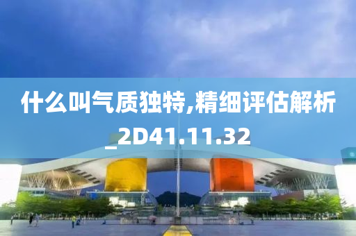 什么叫气质独特,精细评估解析_2D41.11.32