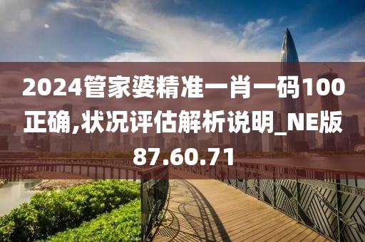 2024管家婆精准一肖一码100正确,状况评估解析说明_NE版87.60.71