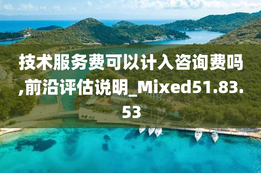 技术服务费可以计入咨询费吗,前沿评估说明_Mixed51.83.53