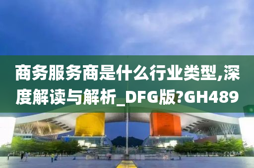 商务服务商是什么行业类型,深度解读与解析_DFG版?GH489