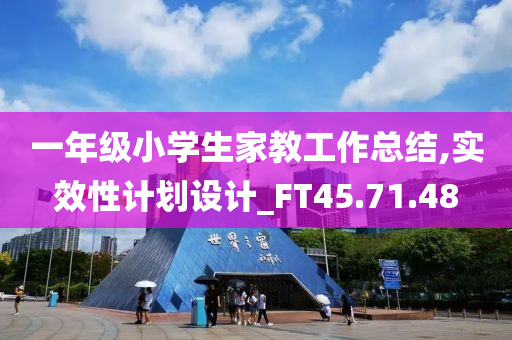 一年级小学生家教工作总结,实效性计划设计_FT45.71.48