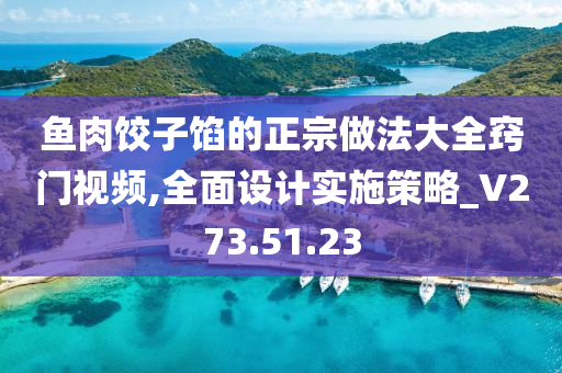 鱼肉饺子馅的正宗做法大全窍门视频,全面设计实施策略_V273.51.23