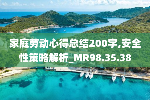 家庭劳动心得总结200字,安全性策略解析_MR98.35.38