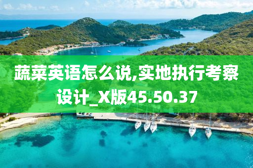 蔬菜英语怎么说,实地执行考察设计_X版45.50.37