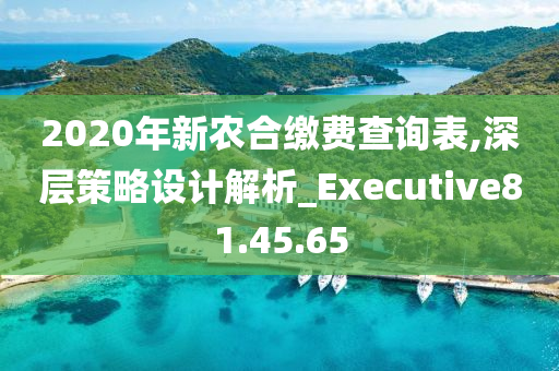 2020年新农合缴费查询表,深层策略设计解析_Executive81.45.65