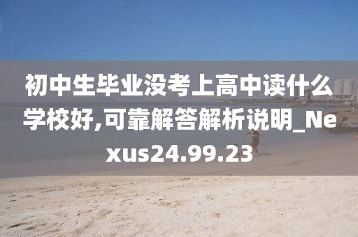 初中生毕业没考上高中读什么学校好,可靠解答解析说明_Nexus24.99.23