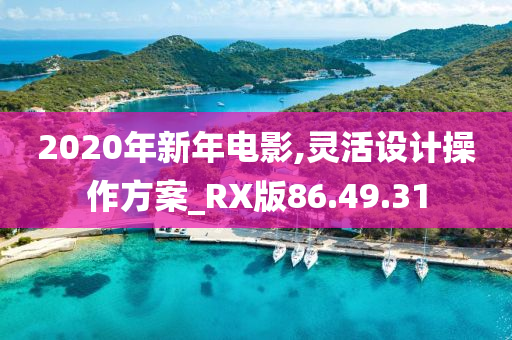 2020年新年电影,灵活设计操作方案_RX版86.49.31