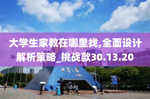 大学生家教在哪里找,全面设计解析策略_挑战款30.13.20