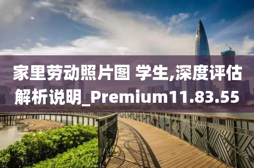 家里劳动照片图 学生,深度评估解析说明_Premium11.83.55