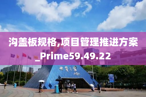 沟盖板规格,项目管理推进方案_Prime59.49.22