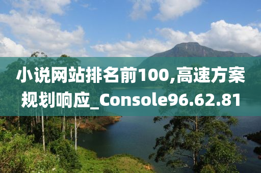 小说网站排名前100,高速方案规划响应_Console96.62.81