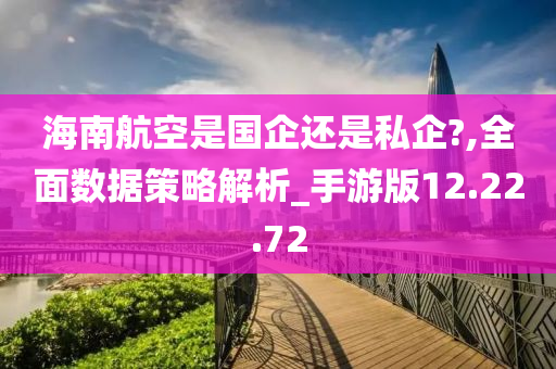 海南航空是国企还是私企?,全面数据策略解析_手游版12.22.72