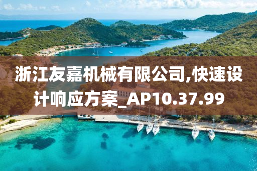 浙江友嘉机械有限公司,快速设计响应方案_AP10.37.99