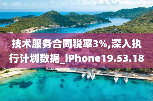 技术服务合同税率3%,深入执行计划数据_iPhone19.53.18