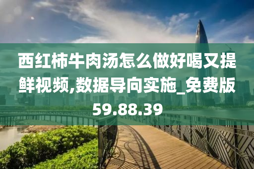 西红柿牛肉汤怎么做好喝又提鲜视频,数据导向实施_免费版59.88.39