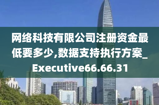 网络科技有限公司注册资金最低要多少,数据支持执行方案_Executive66.66.31