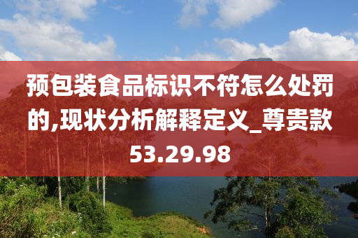 预包装食品标识不符怎么处罚的,现状分析解释定义_尊贵款53.29.98