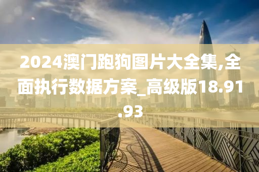 2024澳门跑狗图片大全集,全面执行数据方案_高级版18.91.93