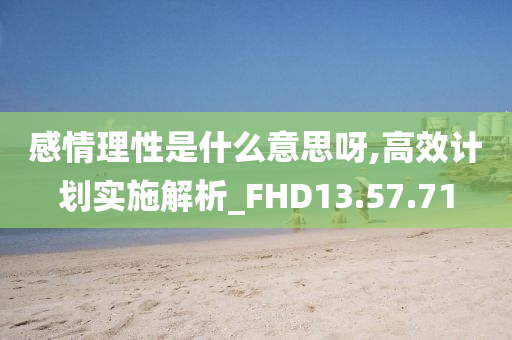 感情理性是什么意思呀,高效计划实施解析_FHD13.57.71