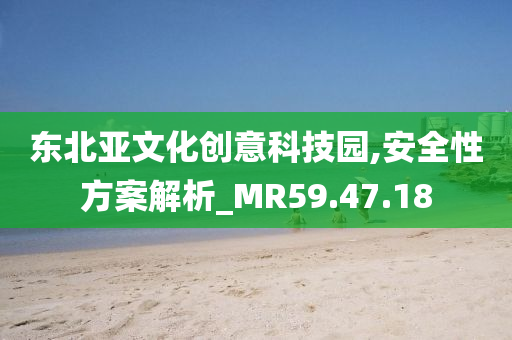 东北亚文化创意科技园,安全性方案解析_MR59.47.18