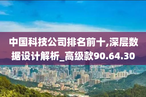 中国科技公司排名前十,深层数据设计解析_高级款90.64.30