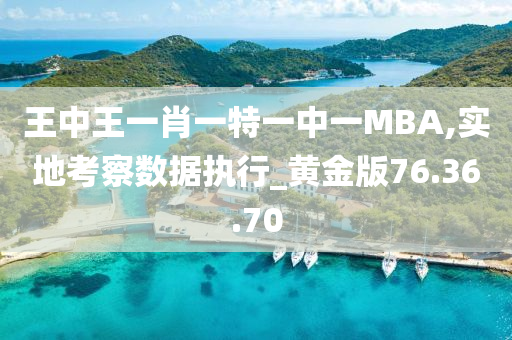 王中王一肖一特一中一MBA,实地考察数据执行_黄金版76.36.70