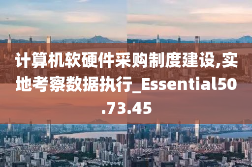 计算机软硬件采购制度建设,实地考察数据执行_Essential50.73.45